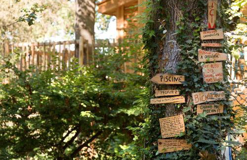 Le Monde de Charlie - Les Cabanes - Foto 67