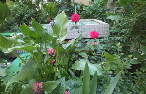 Garbatella Chippendale Apartment - Foto 29