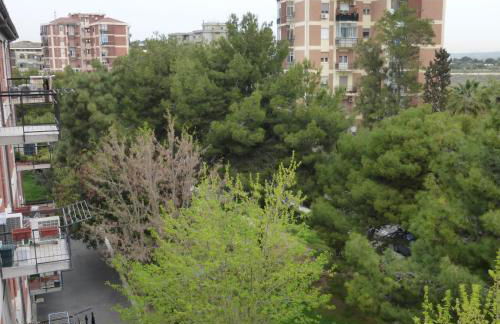 Chelu & Luna - Foto 61