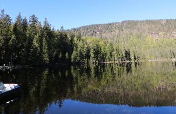 Ferienwohnungen Ludwigsthal - Foto 36