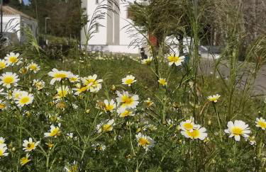 Sunset Apartment by Sesimbra Sun Sea - Foto 54