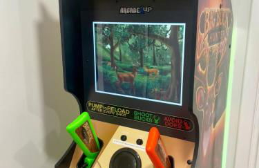 Springtime on the Lake Erie - 180 degree views and game arcade - Foto 55