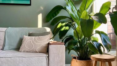 Havre de paix avec terrasse au cœur de Nantes - Foto 1