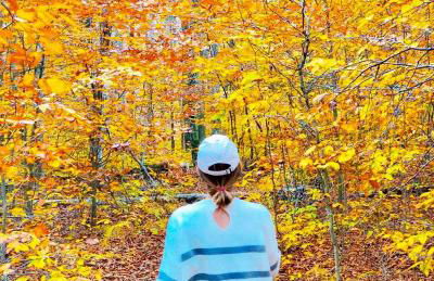 Lakefront, Pool, Hot Tub, Boats, Game Room, Pets - Foto 24