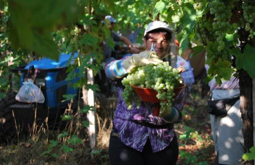 Agriturismo Torre Cristina - Foto 43