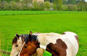 The Arches, Borthwick Mains Farm, - Foto 10