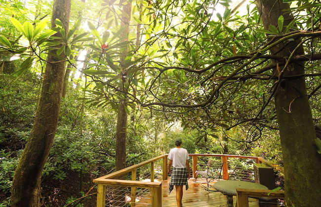 Meraki Escape - Log Cabins w/Hot Tubs + Pet Friendly - Foto 36