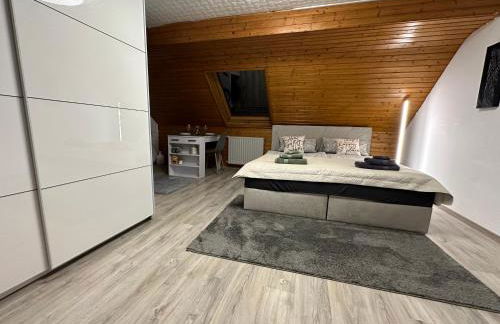 Blick auf den Rhein - Foto 6