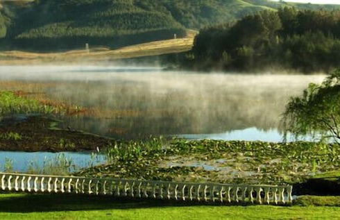 Beacon Vlei Guest Farm - Foto 43