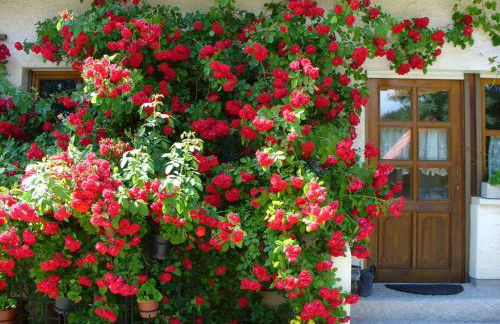 Schlossberghof - Foto 9