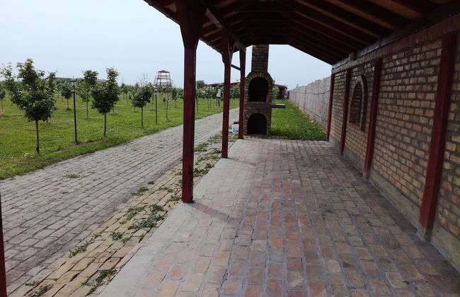 Salas Farma 47 - Photo 44