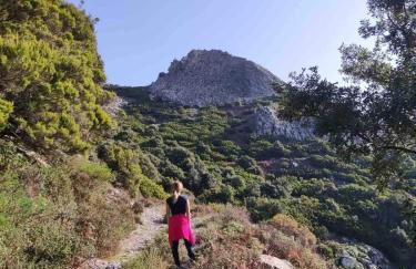 Ale house experience - Foto 22