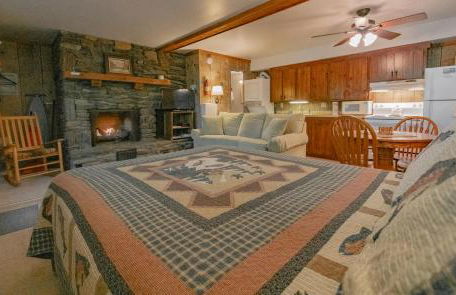 Swiss Mountain Village - Foto 78