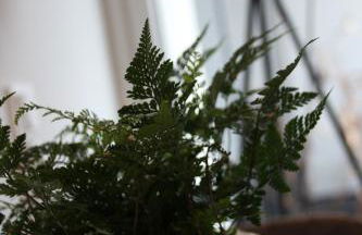 Am Kronengarten - Foto 20