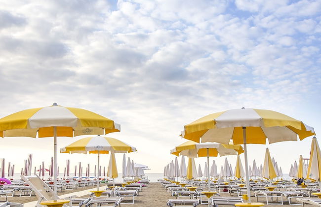 Stella d'Oro - Foto 43