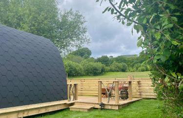 Coedydd - Woods - Foto 7