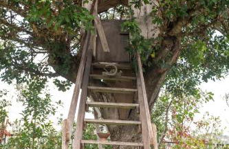 Villa VERNEY - Foto 31