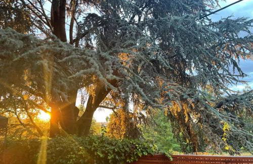 Zen Haus Garden Retreat, prime location, Luxe amenities - Photo 29