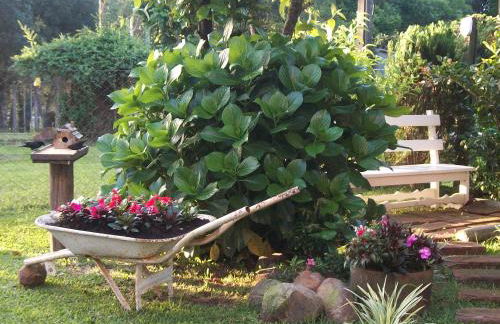 Hospedagem Da Laranjeira Gramado - Photo 53