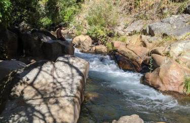 1870s Stained Glass Nostalgia - Foto 17