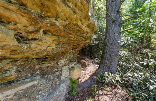 Knotty By Nature- Pet Friendly, Firepit, 150 Acres - Foto 42