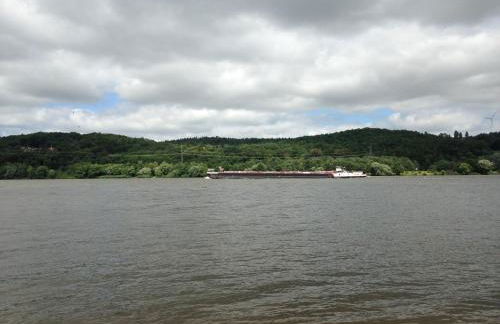 Elbe Ferienwohnung - Foto 21