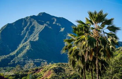 Hanalei Bay Beach Retreat with Waterfall Views - Foto 34