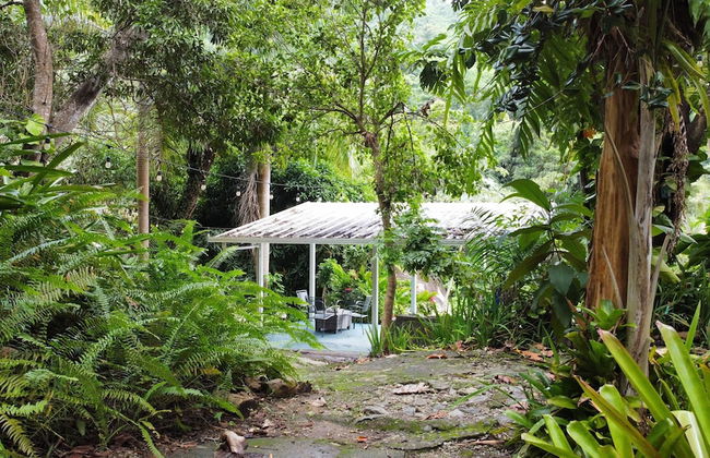 El Yunque Rainforest - Photo 33