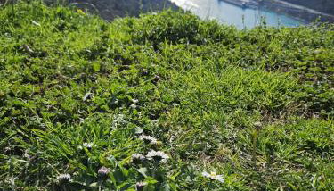 PLOMIN SKY&BAY - Foto 2