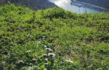 PLOMIN SKY&BAY - Foto 2