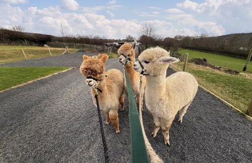 Brockalee Farm Retreat - Foto 16