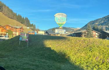 Cocon Alpin à Praz sur Arly, près des pistes - Foto 29