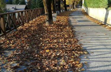 La Casetta di Barzio - Foto 8