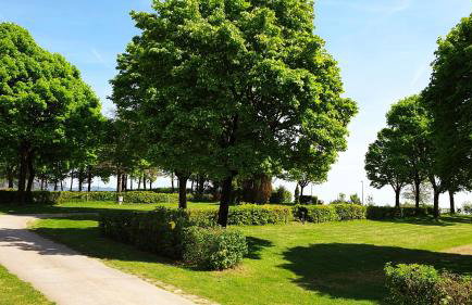 Franz Josefs Tinyhäuser - Foto 21