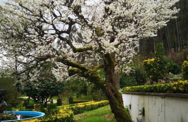 Quinta das Águias - Foto 64