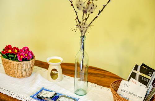 Typical Piedmontese house in the Langhe - Foto 29