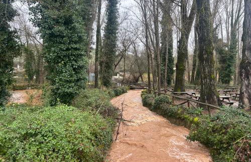 Casa Rural Nacimiento del Hueznar - Tomillo 17 - Foto 40