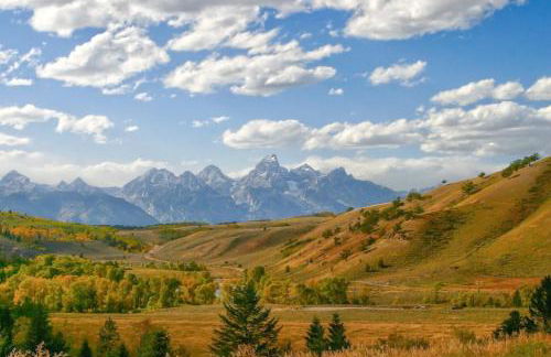 The Director's Cabin - Foto 20