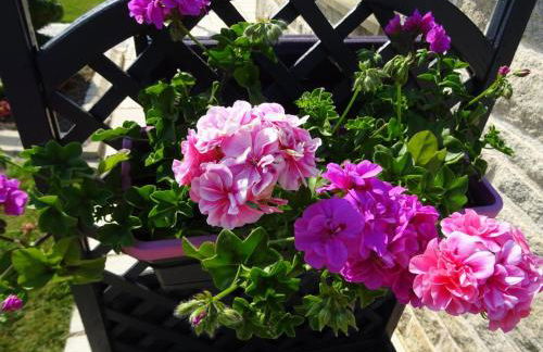 Brin de bonheur - Foto 24