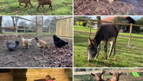 L Uni Vert d Azur gite 10 pers piscine et mini ferme proche océan - Foto 4