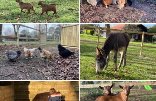 L Uni Vert d Azur gite 10 pers piscine et mini ferme proche océan - Foto 4