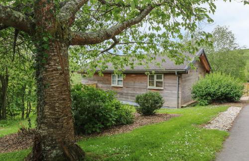 1 Lake View - Foto 22