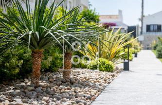 Flamenco Garden, design apt, heated pool, at La Finca Golf Resort - By Oyoostays - Foto 28