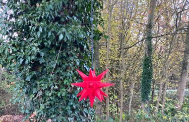 Friedeburga - Photo 21