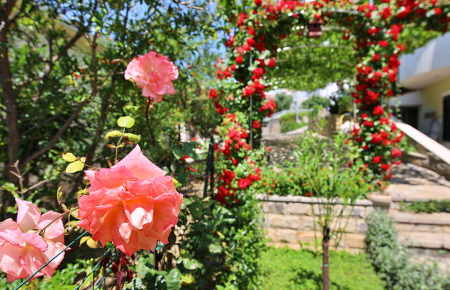 Villa Andjelka - Foto 27