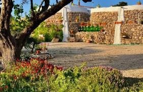 Trulli delle succulente - Foto 4