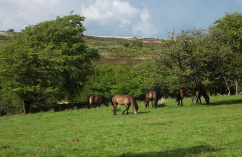 2 Bed in Dulverton oc-90558 - Foto 20