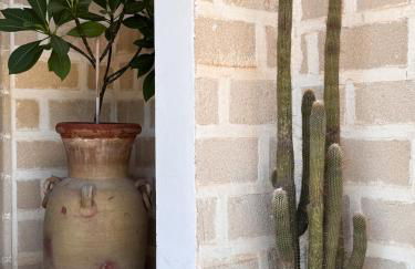 Casa Armonia - Foto 61