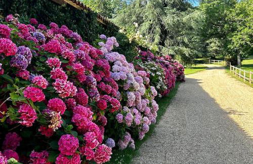 Château de Belet - Foto 104