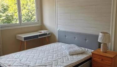 Velay cocon appartement 4 chambres avec vue sur les monuments - Foto 4